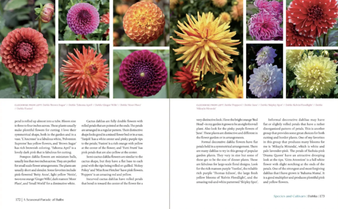 The Essential Guide to Bulbs Signed Copy - Image 2